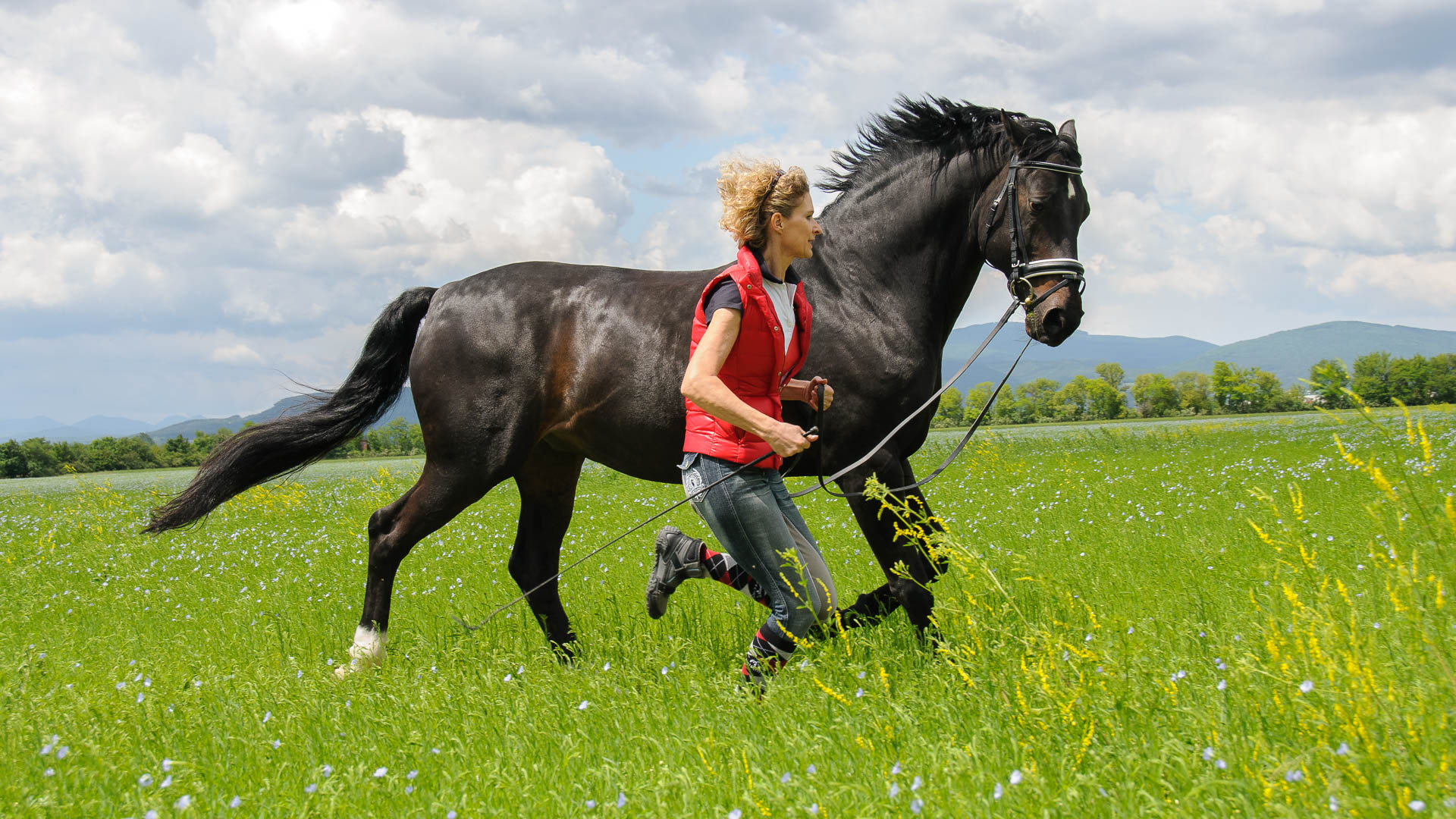 Fats Domino (Tierfotografie)