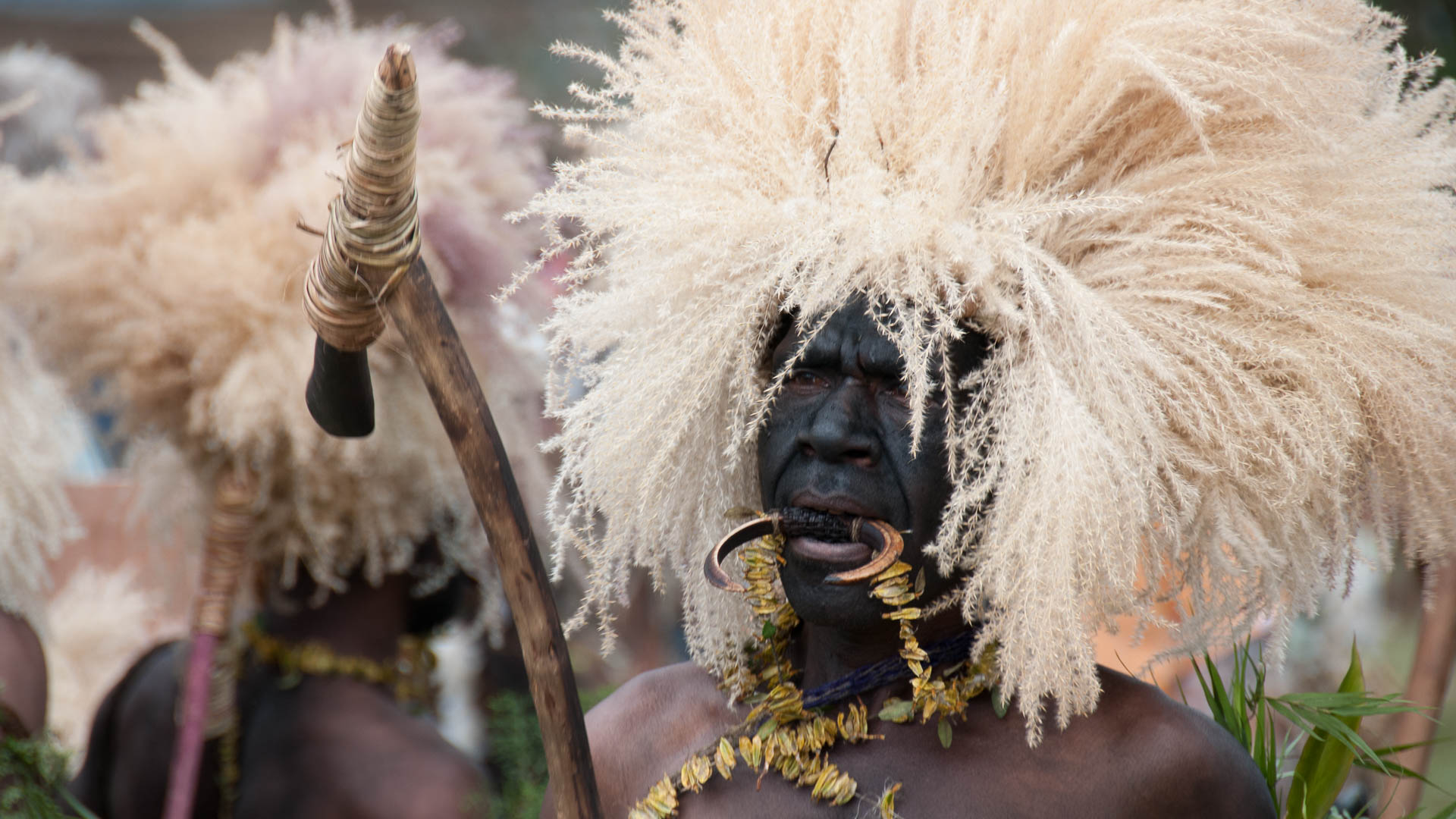 Goroka-Festival (Papua Neu Guinea, Veranstaltungsfotografie)